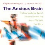The Anxious Brain